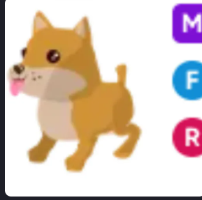 MFR Shiba Inu - Fastest Delivery #hal