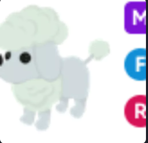 MFR Poodle - Adopt Me Fast Delivery #hal
