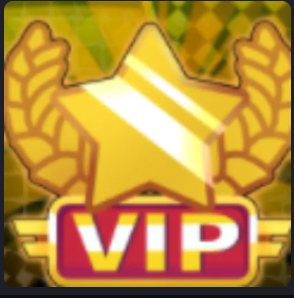 ✅✅VIP✅✅399R