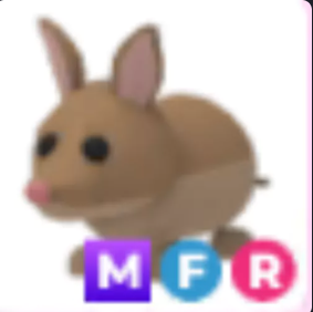 MFR Bandicoot - Adopt Me Fast Delivery #hal