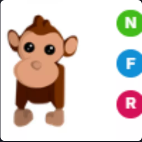 NFR Monkey - Adopt Me Fast Delivery #hal