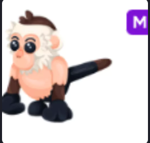 Mega Capuchin Monkey - Adopt Me Fast Delivery