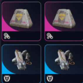 24 Medium Shield 24 Looting MK.3 Survivor Augment