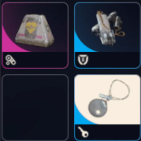 15 Raider Hatch Key 15 Looting MK.3 Survivor Augment 15 Medium shield