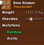 7227 KG |Bone Blossom Fruit |118 Quadrillion