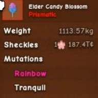 1113 KG | Huge Elder Candy Blossom🌸1 Quadrillion Sheckles Fruit