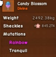 2492KG |  Candy Blossom | 4 Quadrillion Sheckles Fruit - Grow A Garden