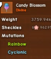 3759KG | Huge Candy Blossom | 6 Quadrillion Sheckles Fruit - Grow A Garden