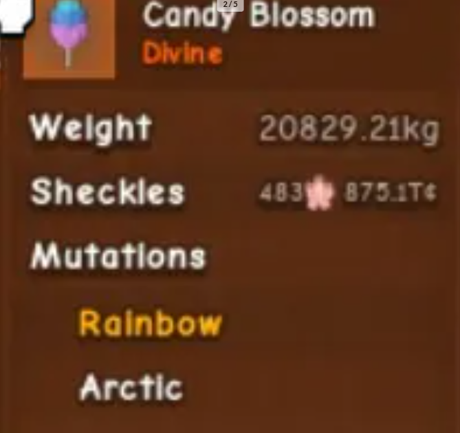 🎍20829KG | Candy Blossom🎍480 Quadrillion Sheckles Fruit - Grow A Garden🎍