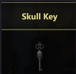 Skull Key (FAST DELIVERY)