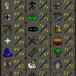 Maxed Main 126 Combat Inferenal Quiver 99 Attack 99 Str 99 Defence 99 Magic 99 Range 99 Prayer Questcape Elite Void Max
