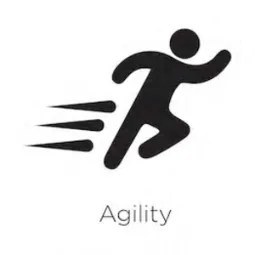 Agility 75-99 Service