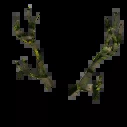 Wanwood Antlers
