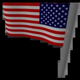 Flag