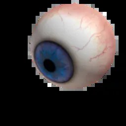 Mega Parched Eyeball Head
