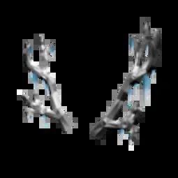 Frozen Antlers of Everfrost