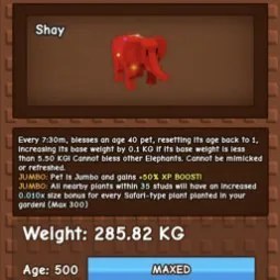 285 82kg Rbh Elephant Rainbow Hatched Elephant