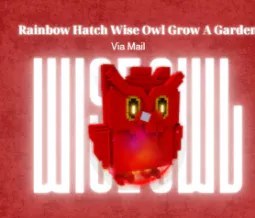 Huge Rainbow Hatch Wise Owl Rbh Wise Owl 60 61 280kg Age Max and