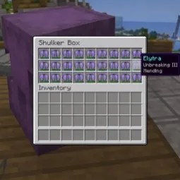 Elytra Shulker 27x Elytra