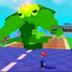 Neon Poinsettia 13m Dps 13 5m Dps 16 4kg Huge