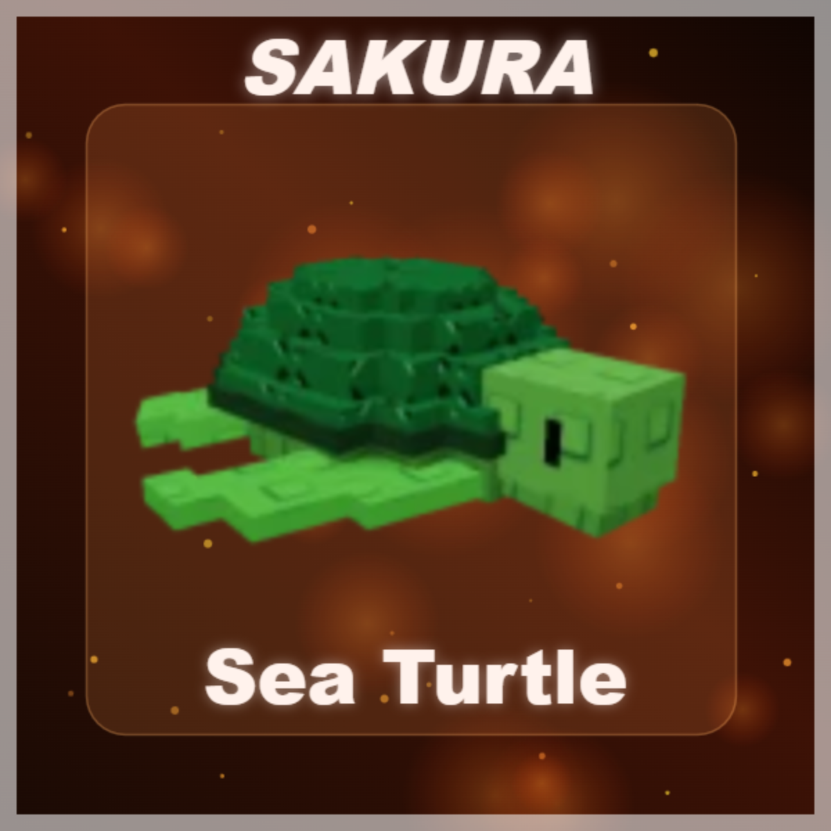 ⭐ Sea Turtle ⭐