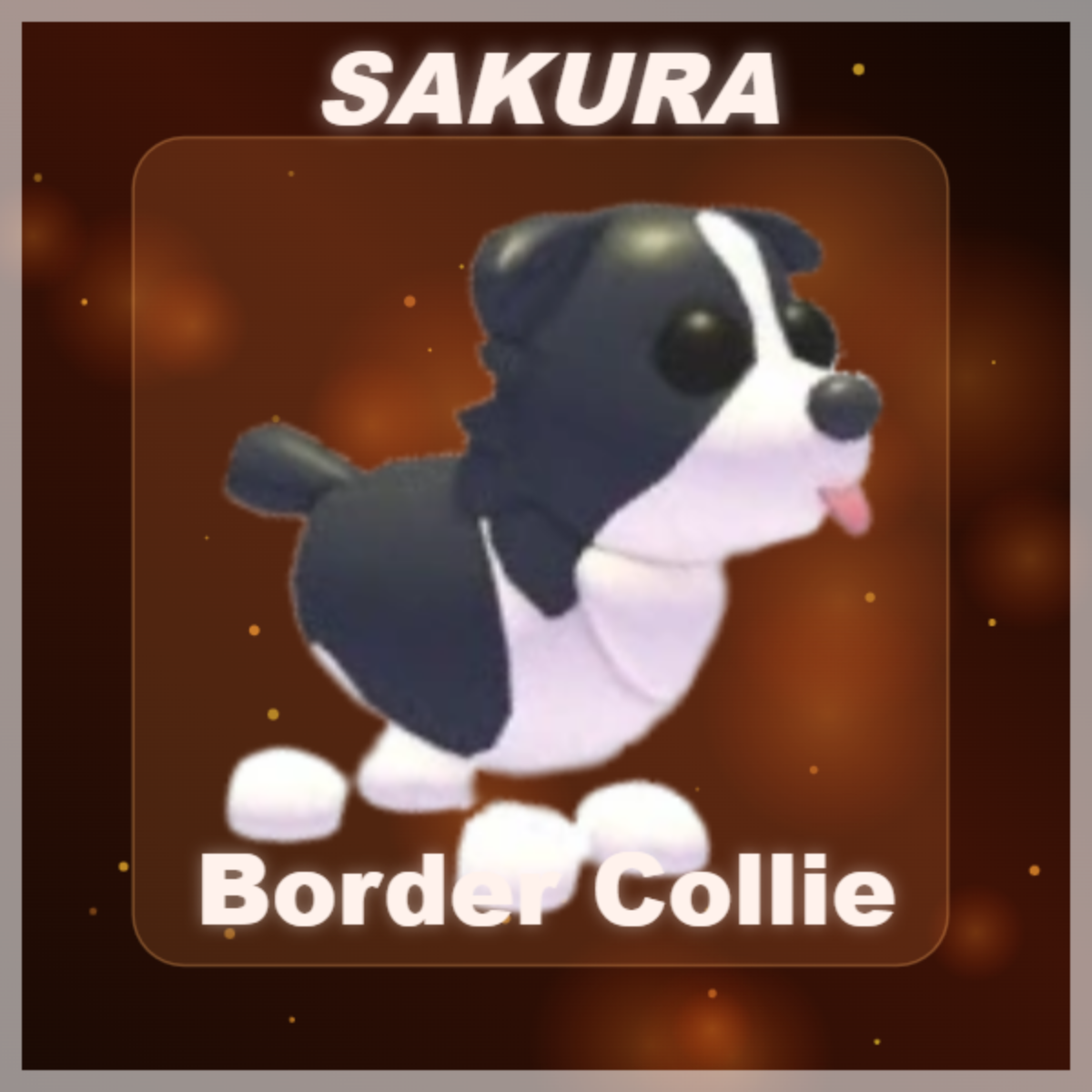⭐ Border Collie ⭐