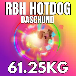 Huge Nightmare Rainbow Hatched RBH Hotdog Daschund 61.25KG