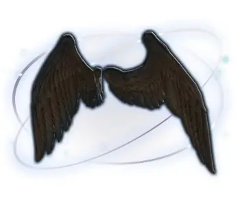 ✧･ﾟ:*✧ Final Fantasy XIV Items - Fallen Angel Wings ✧･ﾟ:*✧ Seiously.just buy ✧･ﾟ:*✧
