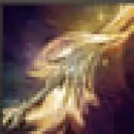✧･ﾟ:*✧ Guild Wars 2 Items ✧･ﾟ:*✧ You Had one job...buy ✧･ﾟ:*✧
