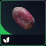 x5 Prickly Pear