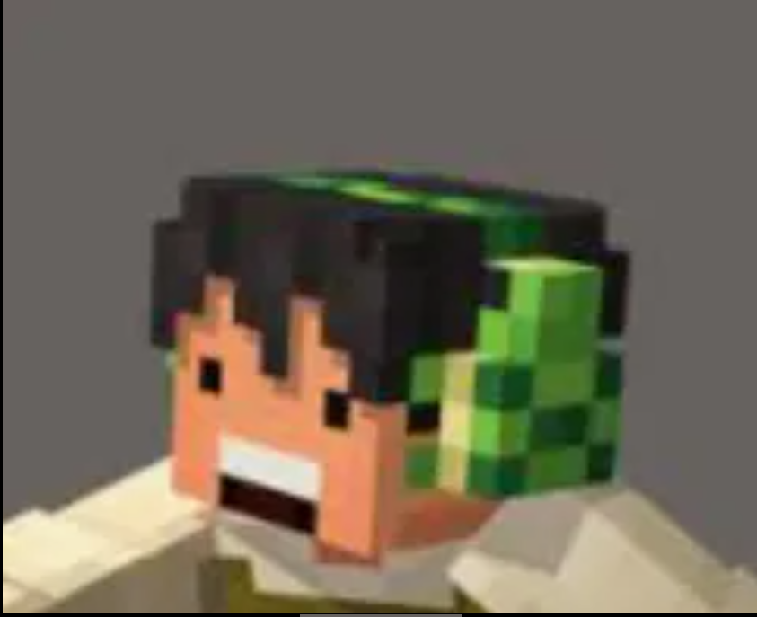 đ„MINECRAFT ăTurtle TunesăâąGLOBAL