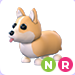 Corgi NR | Adopt Me⚡ Fast Delivery ⚡