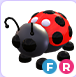 Ladybug FR | Adopt Me⚡ Fast Delivery ⚡