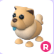 Tan Chow-Chow R | Adopt Me⚡ Fast Delivery ⚡
