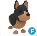 Australian Kelpie F | Adopt Me⚡ Fast Delivery ⚡