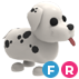 Dalmatian