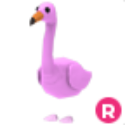 flamingo r
