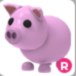 Pig R