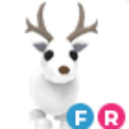 Arctic reindeer FR