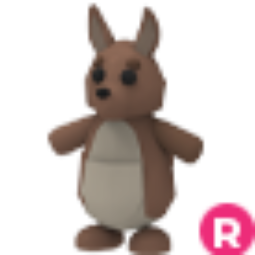 Kangaroo  r