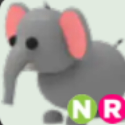 Elephant NR
