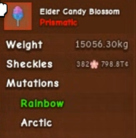 🎍15056 KG | Huge Elder Candy Blossom🎍382 Quadrillion Sheckles Fruit - Grow A Garden🎍