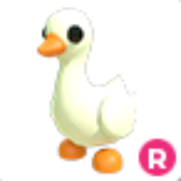 goose R