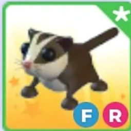 Sugar Glider FR