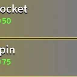 Blox Fruits: Rocket Spin Permanent 75R
