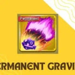 Blox Fruits: Perm Permanent Gravity