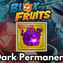 Blox Fruits: Perm Permanent Dark