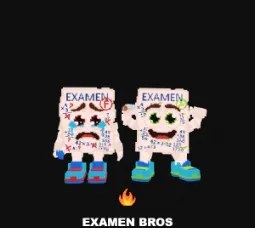 Steal a Brainrot: Rare Secret Examen Bros