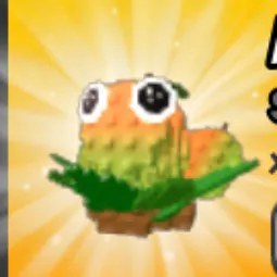 Vs Mango Seed