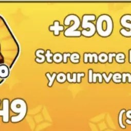 250 Slots 349R